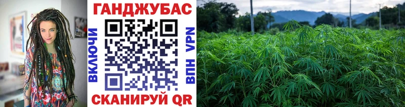 Купить где  Белоусово  Канабис ГИДРОПОН 